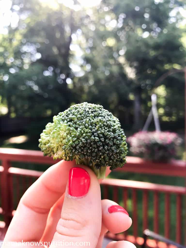 woman holding broccoli outside