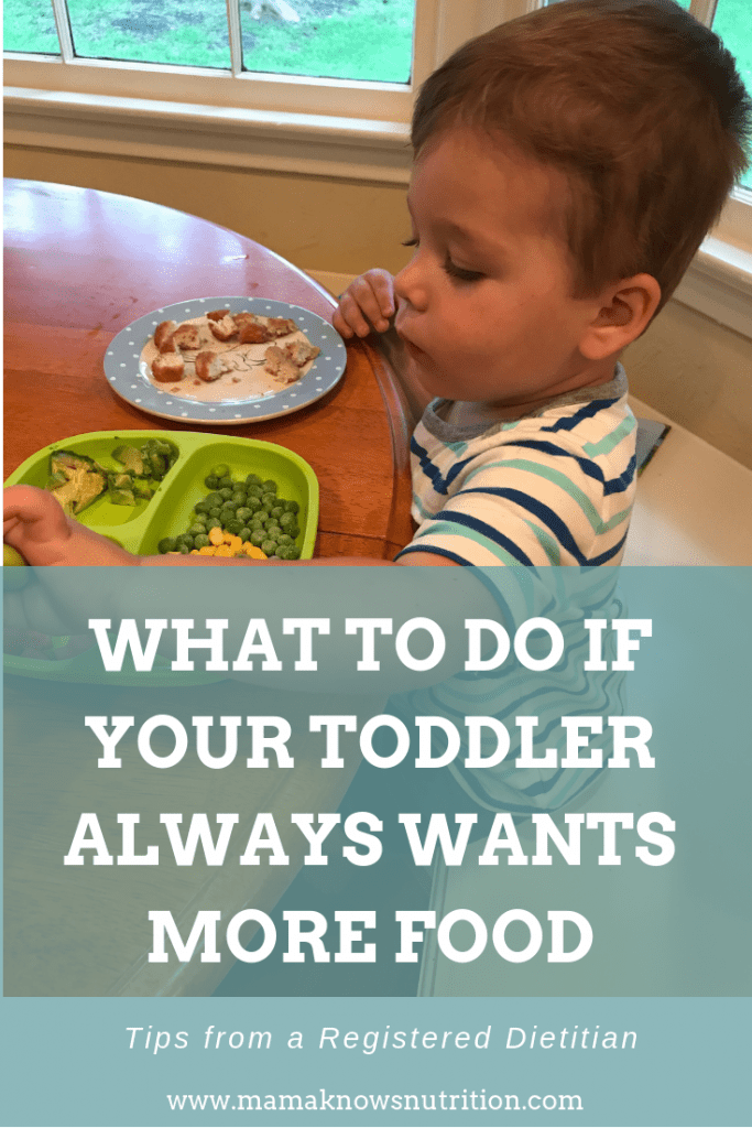 Toddler wants more food all the time | mamaknowsnutrition.com