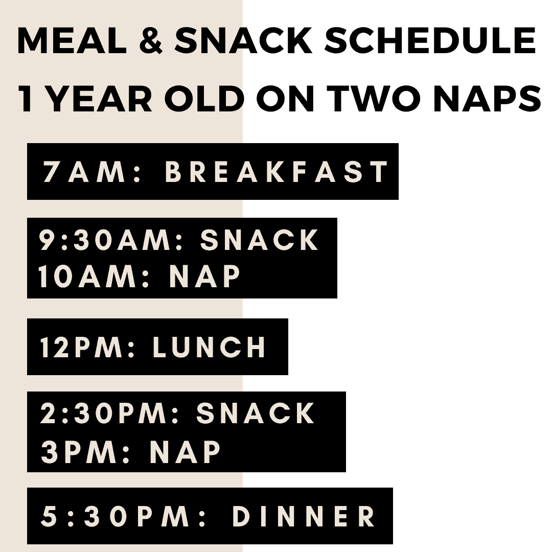 meal and snack schedule 1 year old on two naps