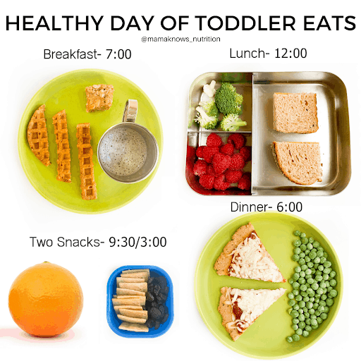 healthy day of toddler eats for 1 year old feeding schedule breakfast lunch snacks and dinner