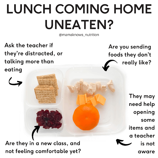 Why some toddlers won't eat lunch