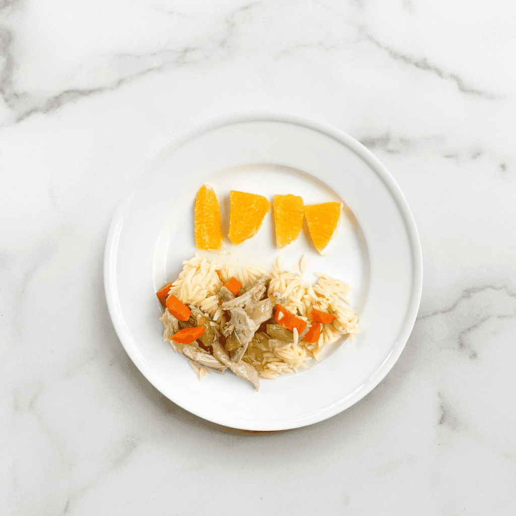 deconstructed chicken noodle soup on plate for babies