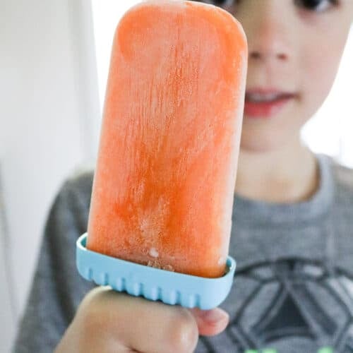 kid holding homemade orange popsicle