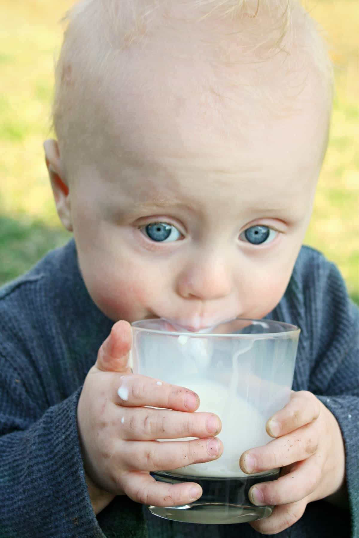 blue eyed baby boy drinking a glass of milk by himself in a blue longsleeves shirt outdoors with grass in the background