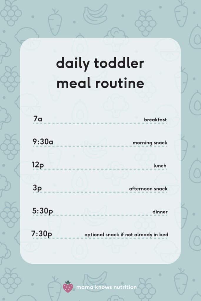 daily toddler meal routine