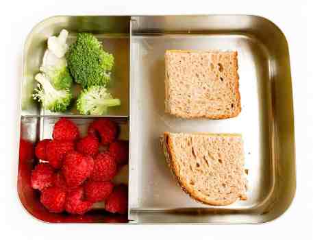 preschool lunch box healthy lunch sandwich fruit vegetable