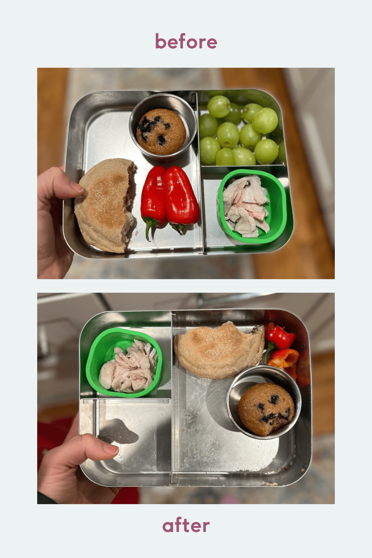 balanced lunch for kids