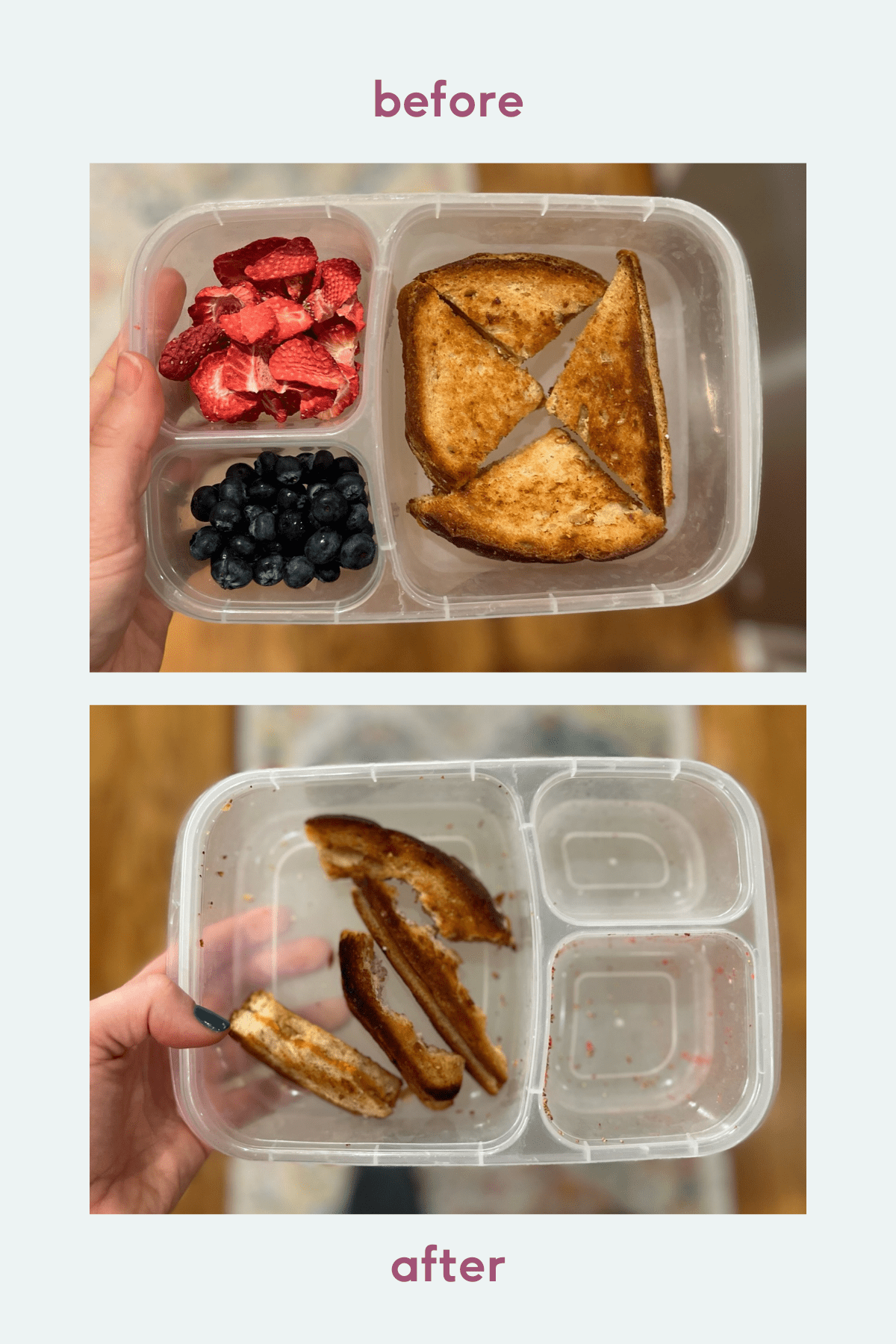 easy packed lunch