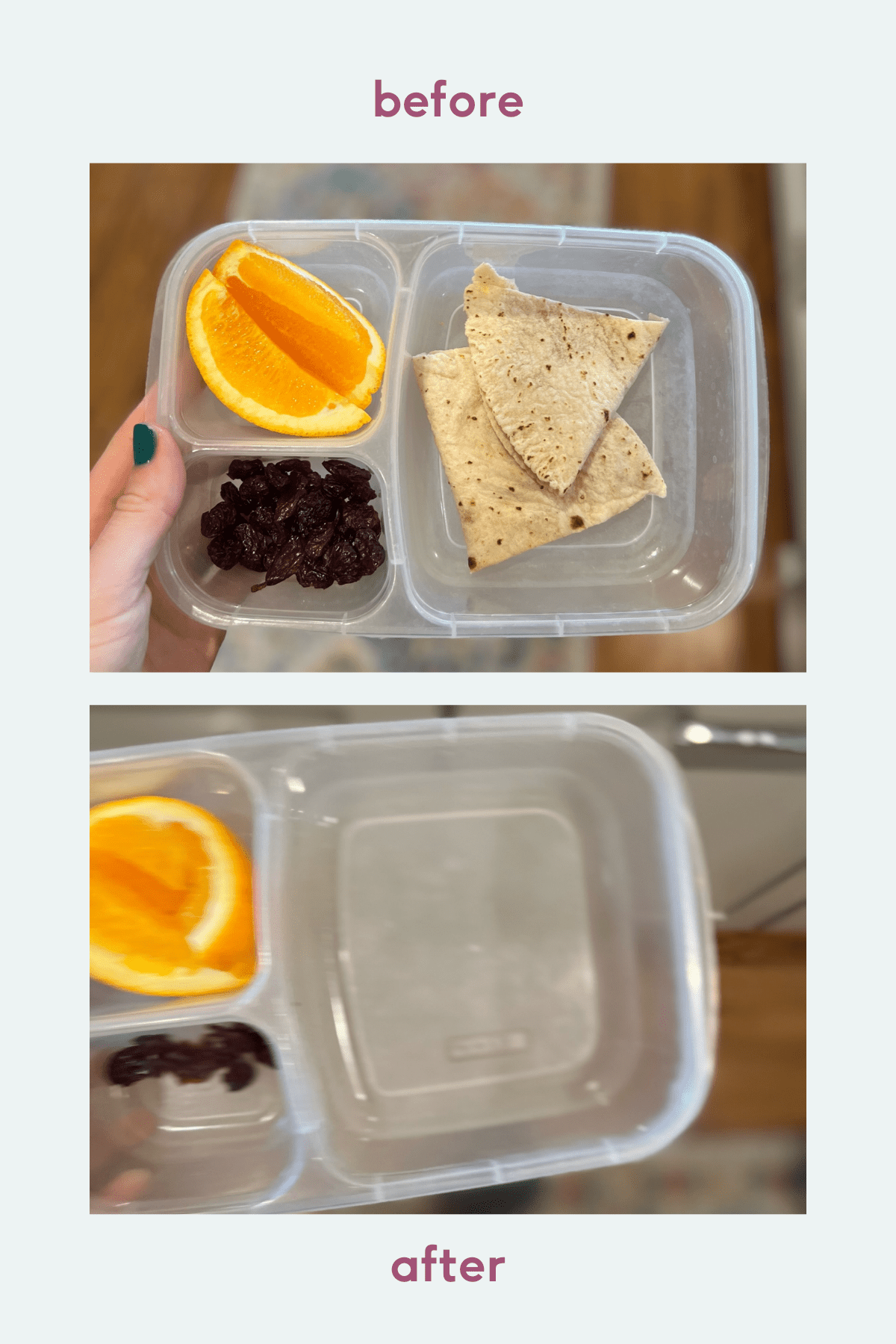 daycare lunch idea