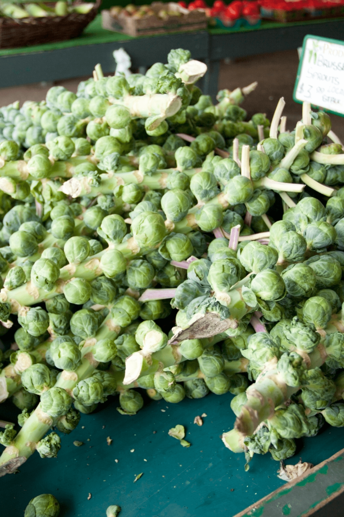 brussel sprouts for baby