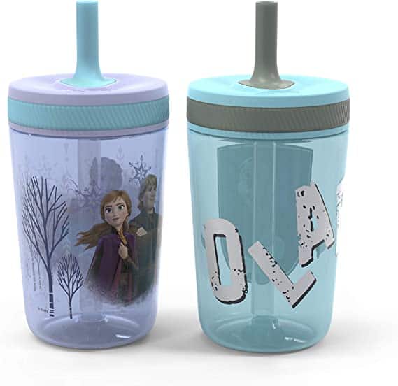 zak designs leak proof tumbler with straw