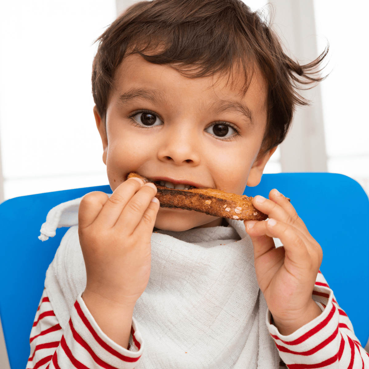 Sitting child wearing a bib and eating a piece of bread