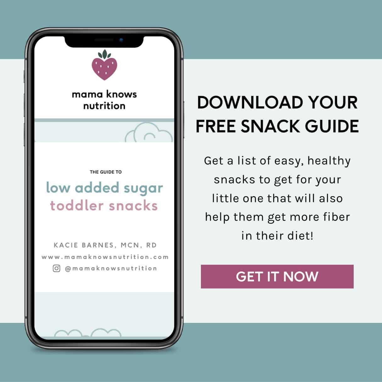 download your free snack guide - list of easy healthy snacks that will help get more fiber in their diet