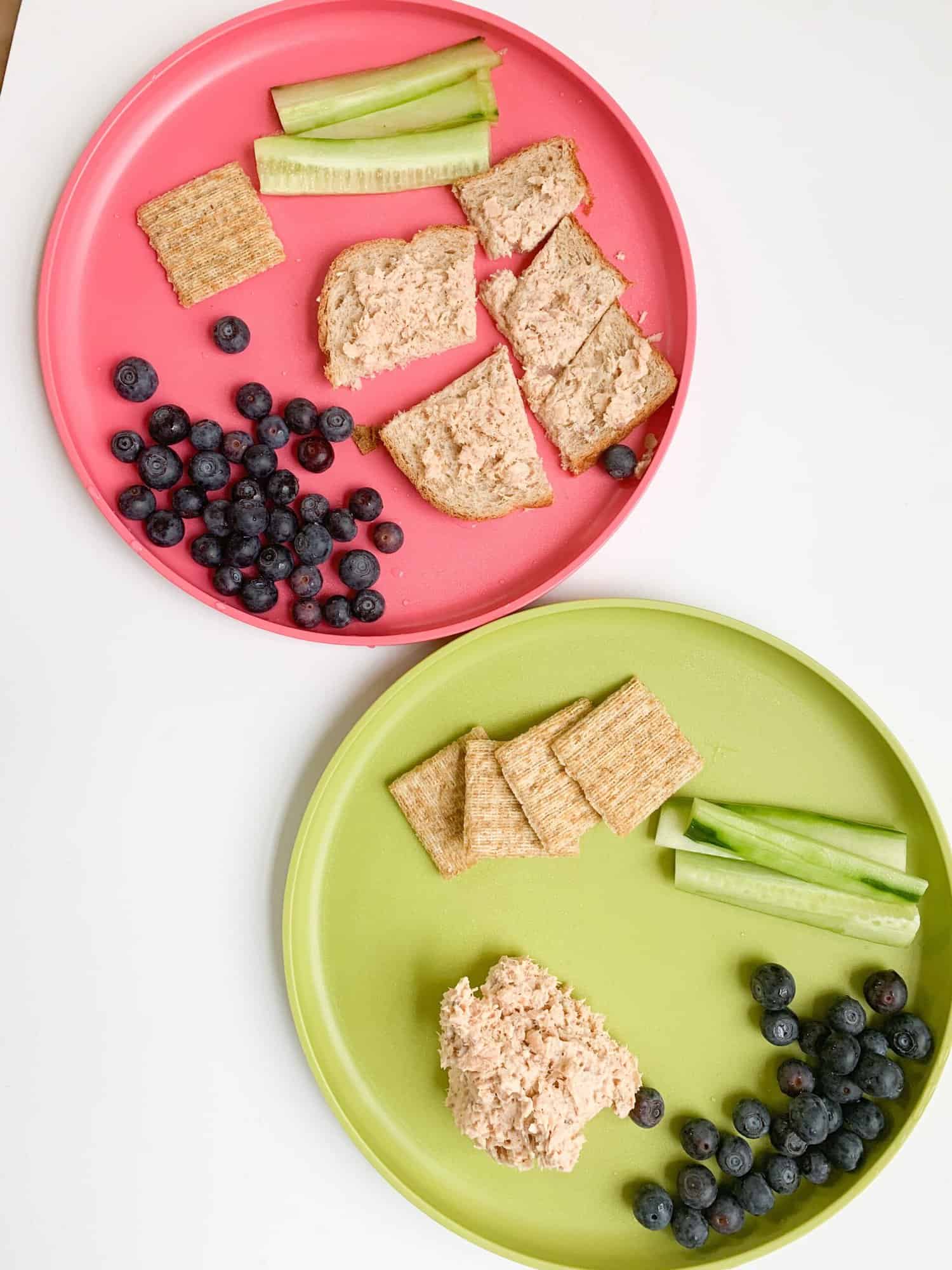 Canned salmon salad recipe plated on kids plates for toddlers with whole grain crackers blueberries and cucumber sticks