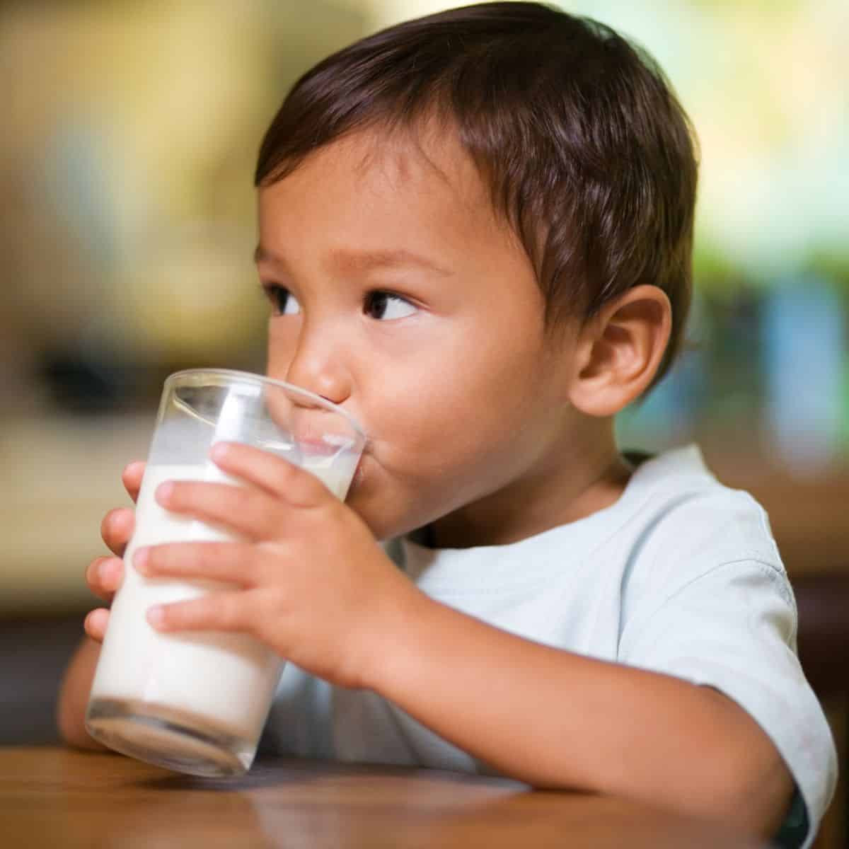 Toddler boy drinking milk and looking to the side