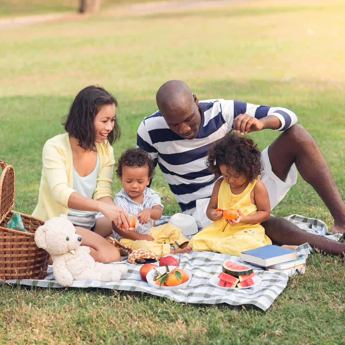 Dad, mom, son and daughter sitting on green grass having a picnic