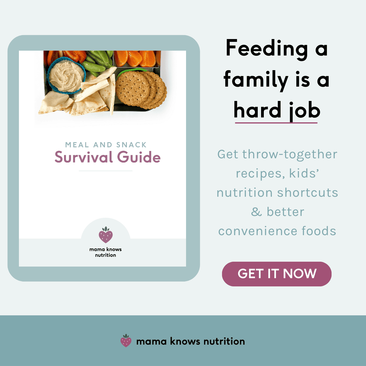 meal and snack survival guide with Healthy Snacks for Toddlers