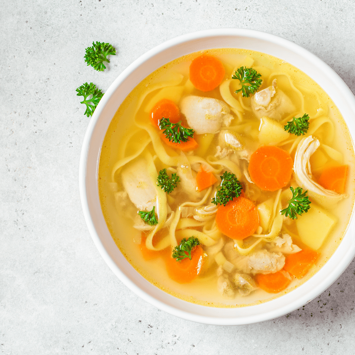 chicken noodle soup