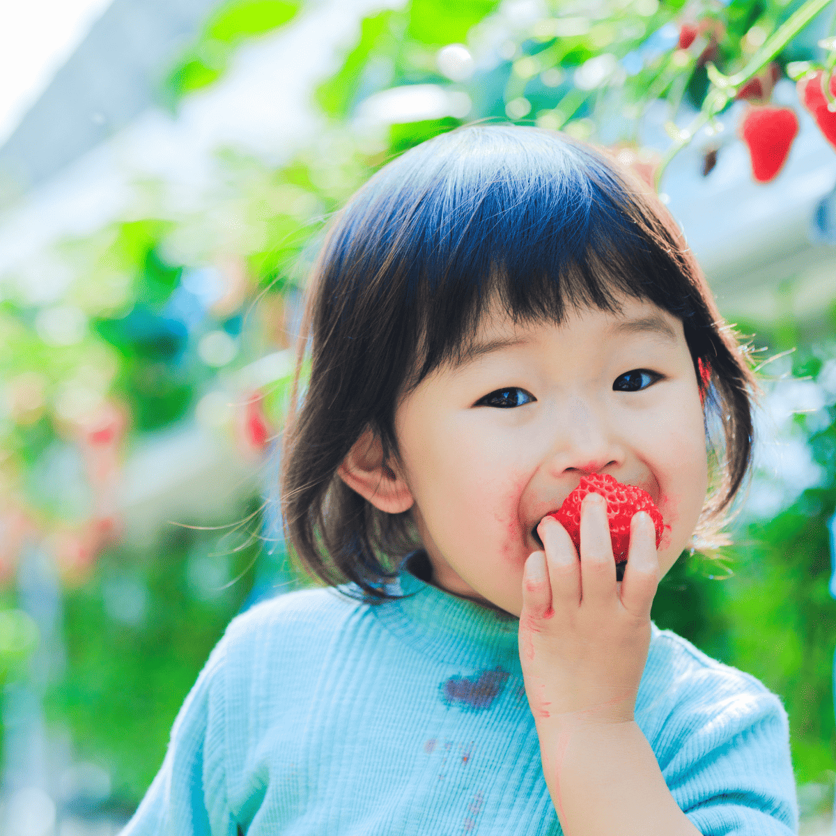 girl eating strawberry