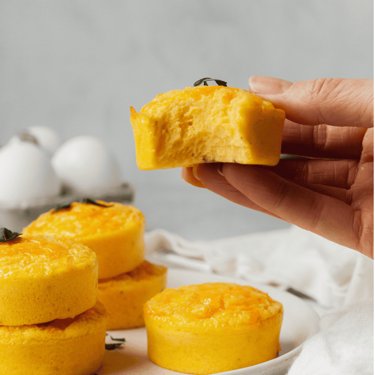 cottage cheese egg bites in a hand