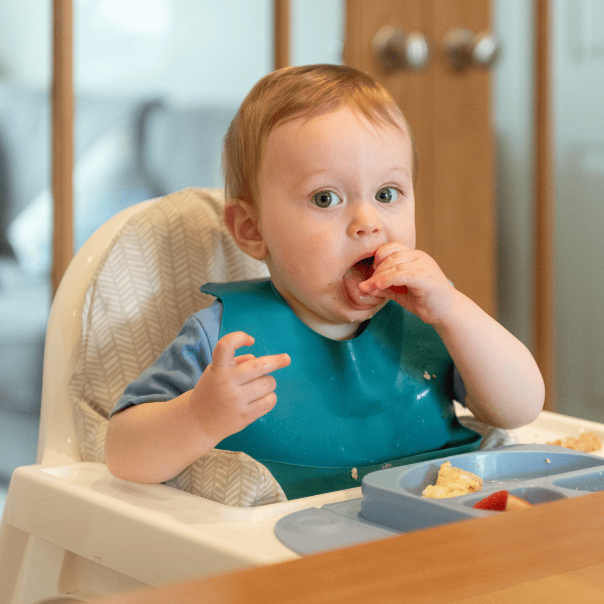 baby in high chair eating breakfast baby in high chair eating breakfast