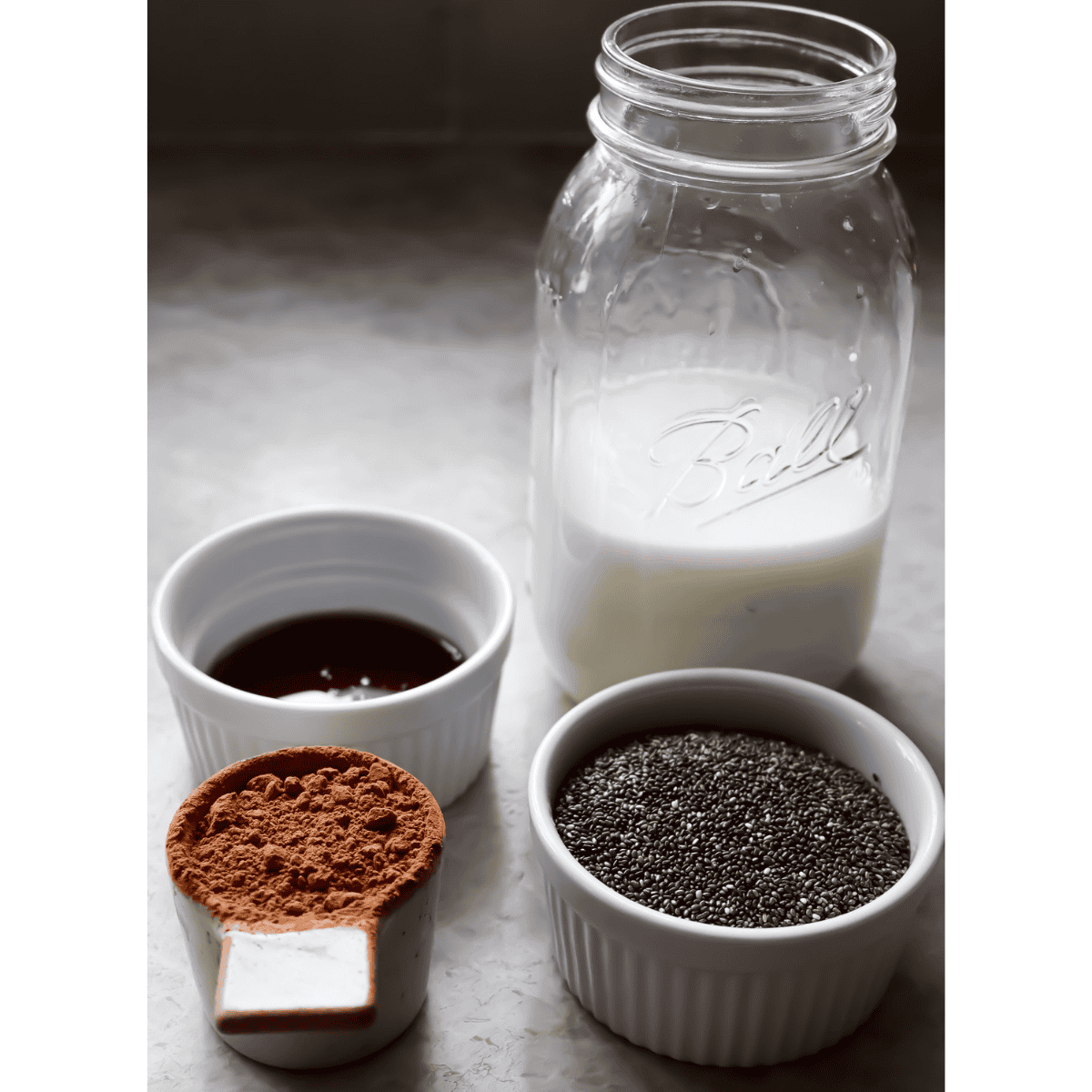 ingredients for chocolate chia seed pudding