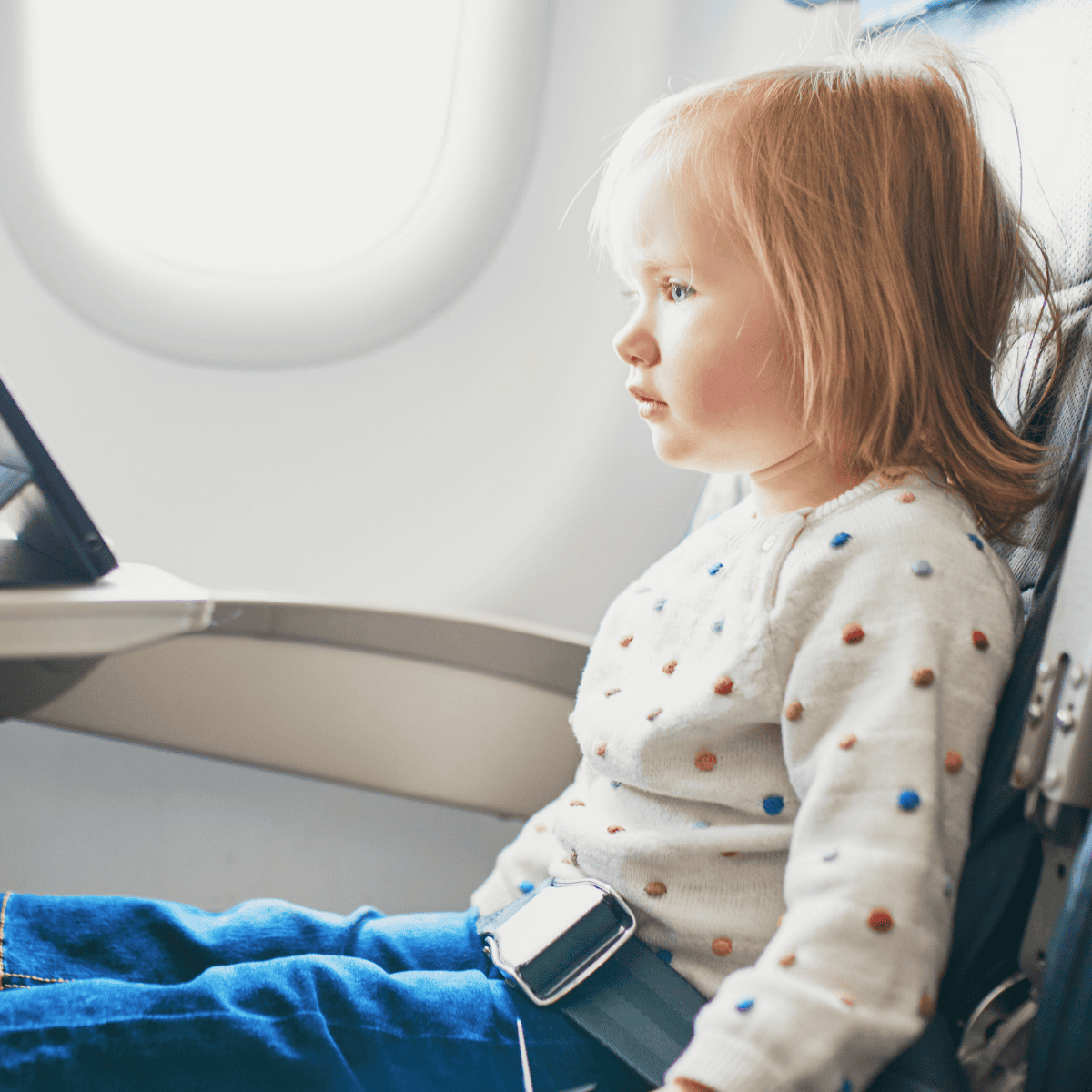 toddler plane snacks